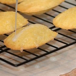 Lemon-Glazed Madeleines