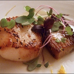 Scallop and Pork Belly