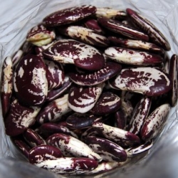 Heirloom Beans