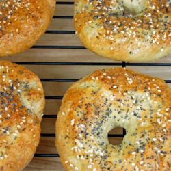 Homemade Bagels