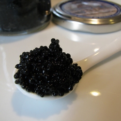 Seaweed Caviar