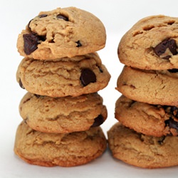 Peanut Butter-Choc Chunk Cookies