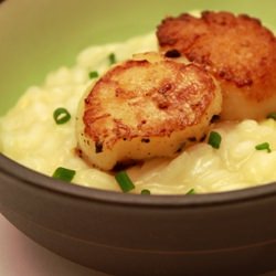 Lemon Chive Risotto with Scallops