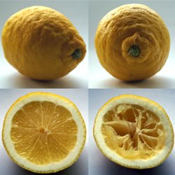 Lemons