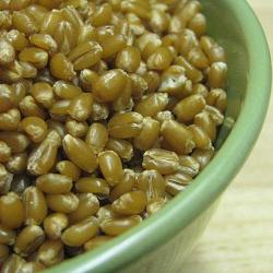 Wheatberries