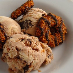 Samoas Ice Cream