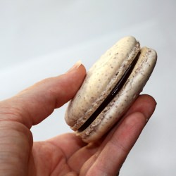 Chocolate Ganache Filled Macarons