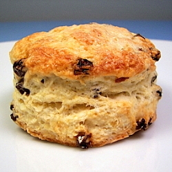 Currant Scones