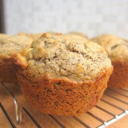 Cappuccino and White Choc Muffins