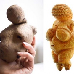 Potato of Willendorf