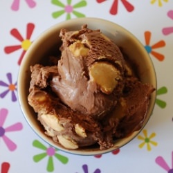 Chocolate Peanut Butter Ice Cream