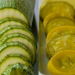 Summer Squash