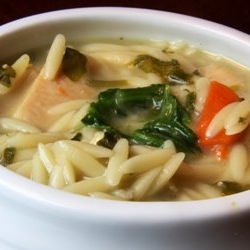 Chicken Vegetable Soup with Orzo