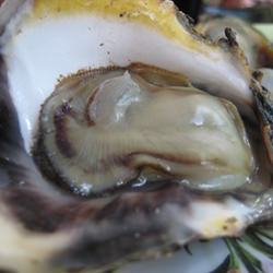 Oysters from Hinigaran