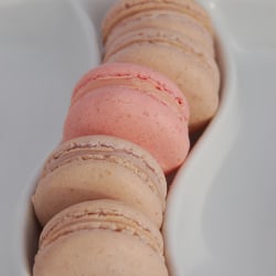 Lavender & Rose Macarons