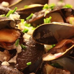 Mussels with Pernod & Roquefort