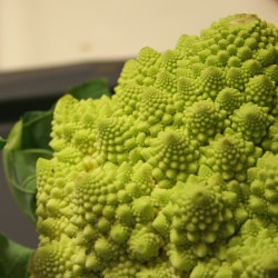 Romanesco