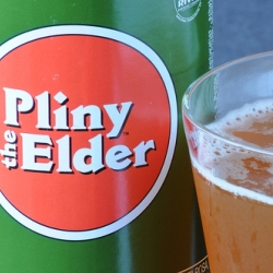 Pliny the Elder