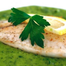 Tilapia with Parsley Lemon Sauce