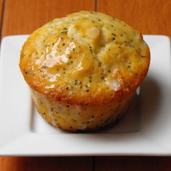 Lemon and Poppy Seed Muffin