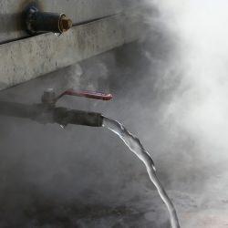 Maple Syrup Making in the City