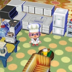 The Animal Crossing Kitchen