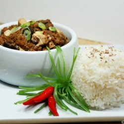 Braised Pork, Tofu and Eggplants