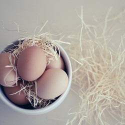 Farm-Fresh Eggs