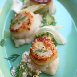 Scallops and Cauliflower x 3