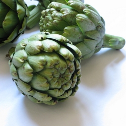 Globe Artichokes