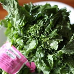 Broccoli Rabe