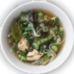 Asian Chicken Noodle Soup