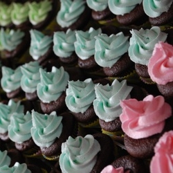 Many Mini Cupcakes