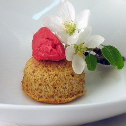 Almond Cake w/Hibiscus Sorbet