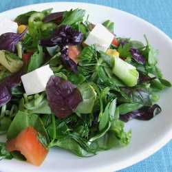 Purslane Salad