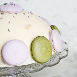 Yuzu Green Tea Dome Cake