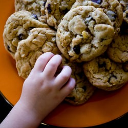 Chocolate Chip Corn Flake Cookies