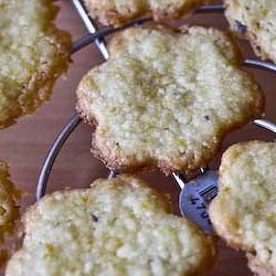 Orange Lavender Cookies for Spring