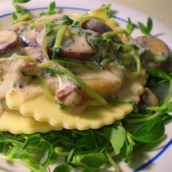 Wild Mushroom Pasta