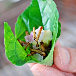 Mieng Kam Thai Appetizer