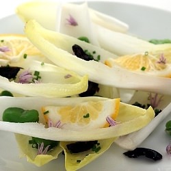 Endive and Fava Bean Salad