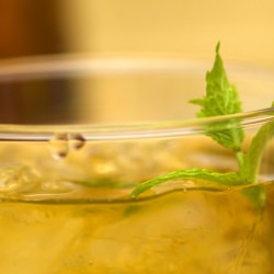 Mint Julep