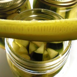 Homemade Spicy Garlic Dill Pickles!