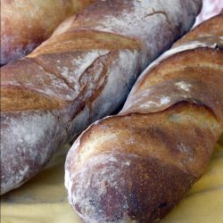 Sour Dough Baguettes