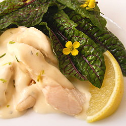 Lemon and Tarrgon Chicken