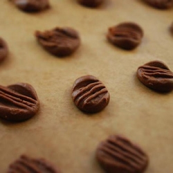 Chocolate Biscuits