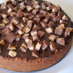 Chocolate Peanut Butter Cheesecake