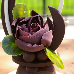 Chocolate Showpiece