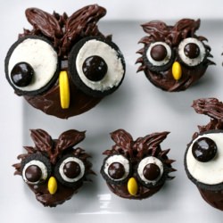 Owl Cupcakes