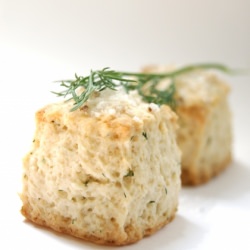 Buttermilk-Dill Sconelettes